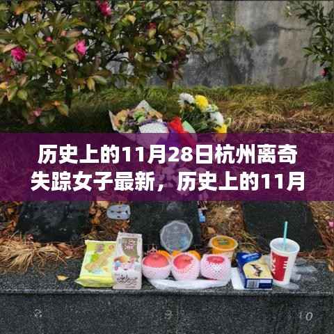 历史上的11月28日杭州离奇失踪女子事件深度解析与最新进展综述,最新消息综述与深度探讨