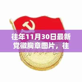 往年11月30日党徽胸章图片探析,一种观点的阐述