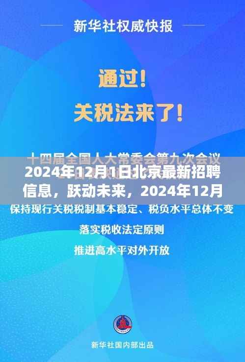 跃动未来,2024年12月1日北京最新招聘信息启航你的励志之旅