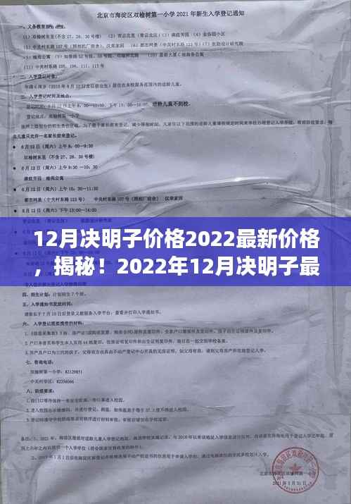 揭秘!2022年12月决明子最新价格动态与市场深度分析