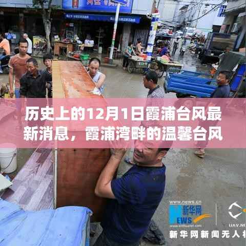 特别的日子,霞浦湾畔的台风故事与温馨回忆——12月1日霞浦台风最新消息
