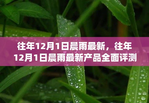 往年12月1日晨雨新品全面评测与介绍