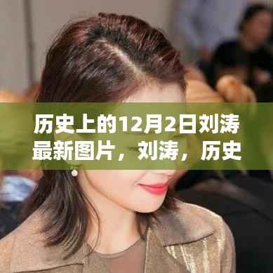 刘涛,历史上的十二月二日之星光璀璨之路,最新图片回顾