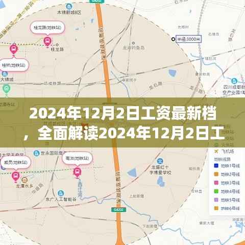 全面解读,2024年工资最新档特性、体验、竞品对比及用户群体分析报告
