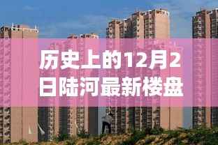 陆河新楼盘温馨故事,历史视角下的12月2日最新楼盘回顾