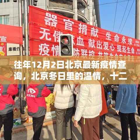 北京疫情下的温情日常,十二月二日下的故事与日常查询