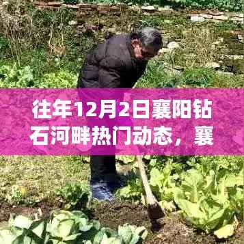 襄阳钻石河畔的温馨十二月,爱的守护与陪伴的日常故事