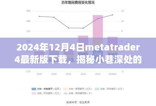 揭秘宝藏小店与最新Metatrader 4体验之旅,2024年最新版下载指南