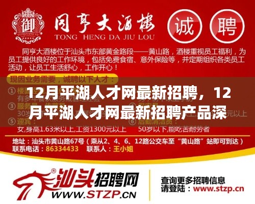 12月平湖人才网最新招聘及招聘产品深度评测介绍