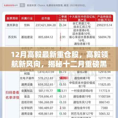 揭秘高毅最新重仓股,智能生活黑科技引领新风向