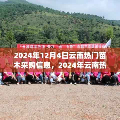 2024年云南热门苗木采购攻略,掌握信息,高效完成采购任务