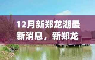 新郑龙湖十二月温馨日常,友情、家庭与爱的故事