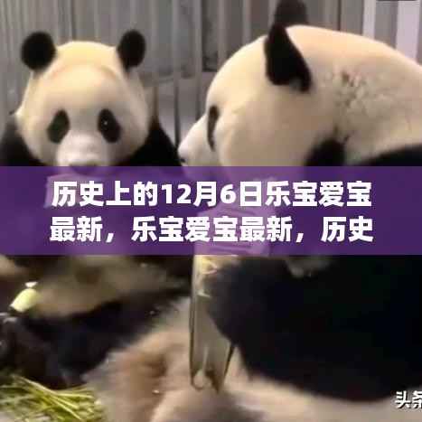 历史上的12月6日,乐宝爱宝最新动态与变化带来的自信与成就感