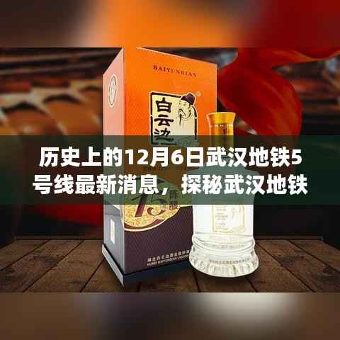 揭秘武汉地铁5号线历史轨迹下的隐藏宝藏,一家小巷特色小店的最新消息(武汉地铁5号线最新动态)