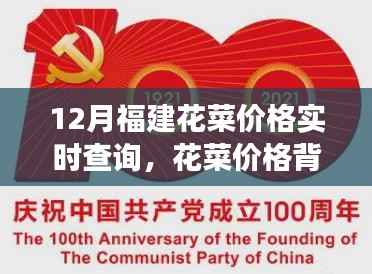 福建花菜价格背后的故事,学习变化与成就感的奇妙之旅