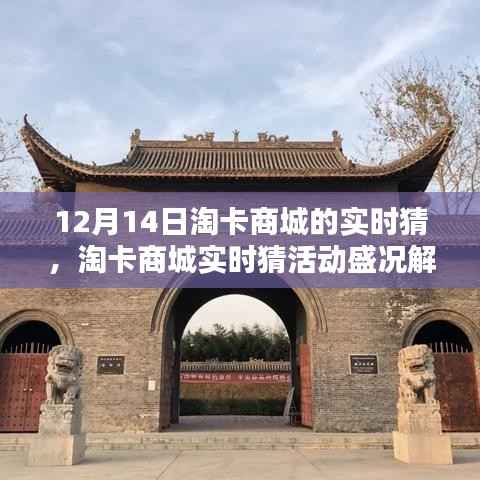 淘卡商城实时猜活动盛况深度解析,聚焦要点探讨活动盛况