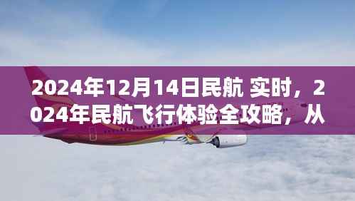 2024年民航飞行体验全攻略,从购票到登机实时步骤指南(适合初学者与进阶用户)