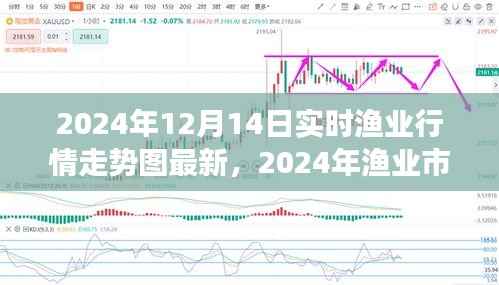 2024年渔业市场风向解析,实时行情走势图深度评测与最新动态
