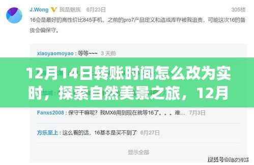 实时转账调整与探索自然美景之旅,启程寻找内心的宁静与平和