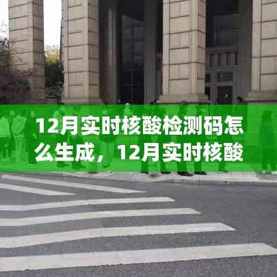 深入解析与观点阐述,12月实时核酸检测码的生成方法