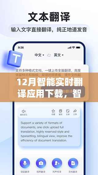 12月智能实时翻译应用下载指南,适合初学者与进阶用户的实用指南