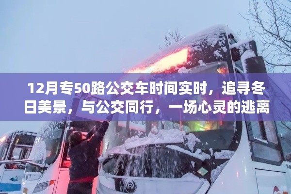 冬日公交之旅,追寻美景的心灵逃离与发现之旅——专50路公交车实时时间指南