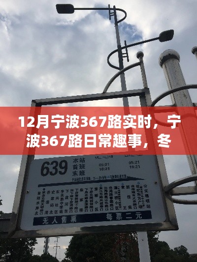 宁波367路日常趣事,冬日暖阳下的友情之旅