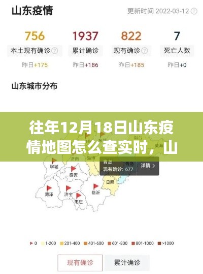 山东疫情地图背后的温情故事,友情与陪伴的追踪之旅,实时查询指南