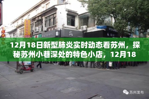 苏州小巷特色小店探秘,12月新型肺炎实时动态下的意外惊喜之旅