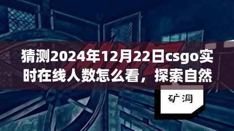 探索CSGO实时在线人数预测与自然美景之旅,冬至之日的期待与内心宁静的追寻