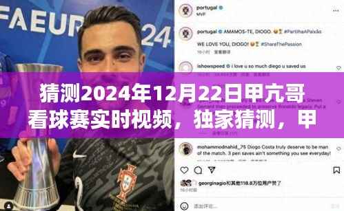 独家预测,甲亢哥2024年世界杯看球赛实况直播,激动人心的夜晚回顾