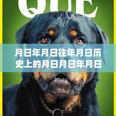 月日月年宠爱,历史时刻、实时票房与市场影响力深度解析