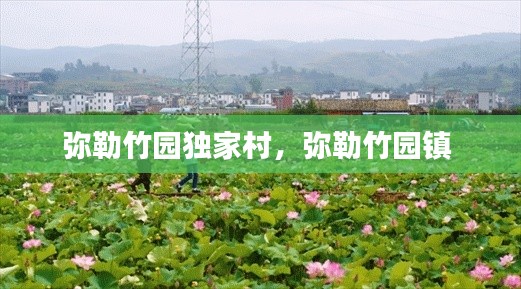 弥勒竹园独家村,弥勒竹园镇