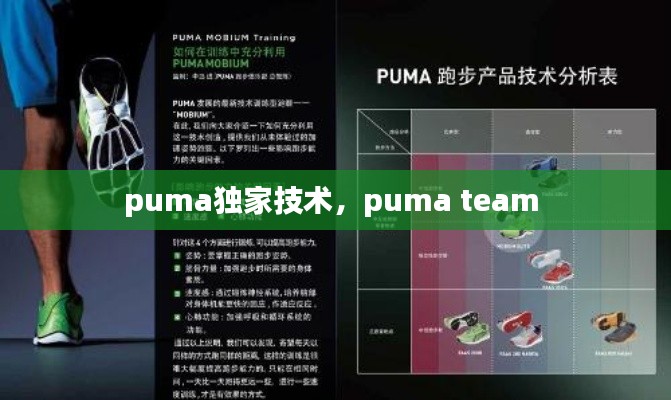 puma独家技术,puma team