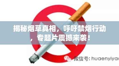 揭秘烟草真相,呼吁禁烟行动,专题片震撼来袭!