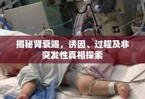 揭秘肾衰竭,诱因、过程及非突发性真相探索