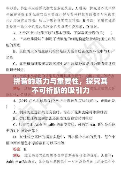 拼音的魅力与重要性,探究其不可折断的吸引力