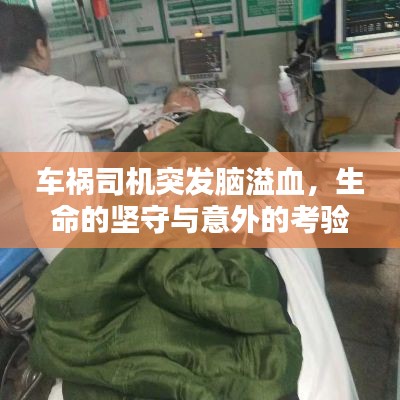 车祸司机突发脑溢血,生命的坚守与意外的考验