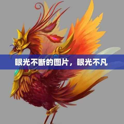 眼光不断的图片,眼光不凡