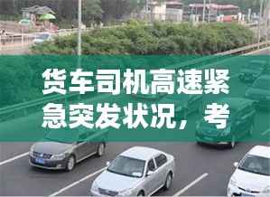 货车司机高速紧急突发状况,考验人性的时刻