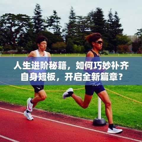 人生进阶秘籍,如何巧妙补齐自身短板,开启全新篇章?