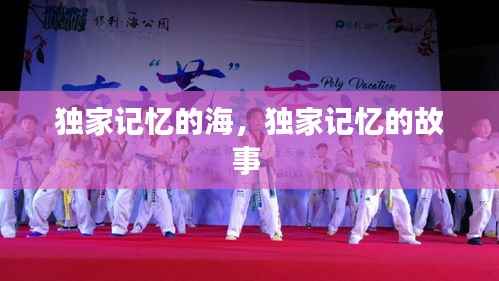 独家记忆的海,独家记忆的故事