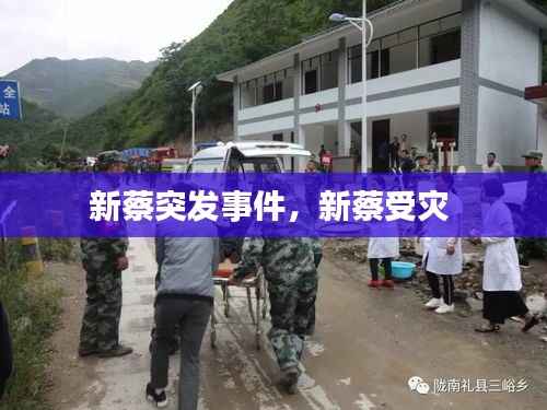 新蔡突发事件,新蔡受灾