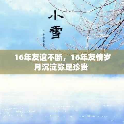 16年友谊不断,16年友情岁月沉淀弥足珍贵