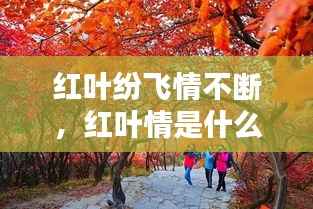 红叶纷飞情不断,红叶情是什么意思