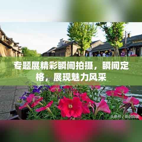 专题展精彩瞬间拍摄,瞬间定格,展现魅力风采