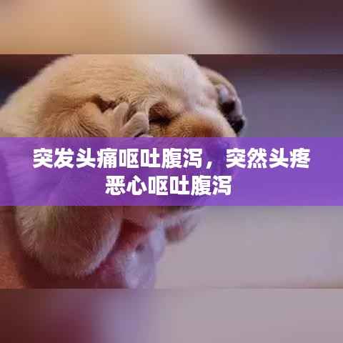 突发头痛呕吐腹泻,突然头疼恶心呕吐腹泻