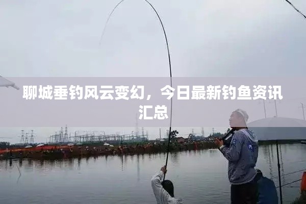 聊城垂钓风云变幻,今日最新钓鱼资讯汇总