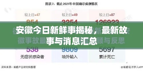 安徽今日新鲜事揭秘,最新故事与消息汇总