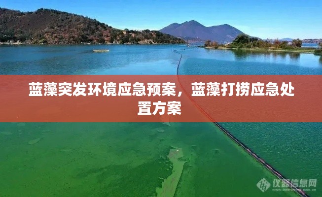 蓝藻突发环境应急预案,蓝藻打捞应急处置方案